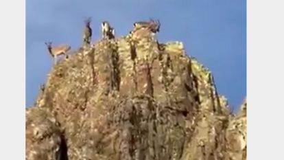 "Malatya doğal yaşamı da koruyan bir şehir"