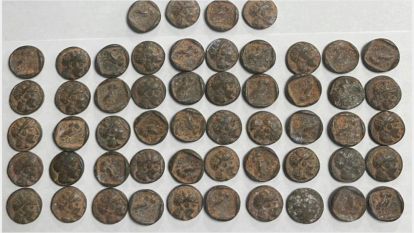 Sikkeler Müzeye, Şüpheliler Adliyeye