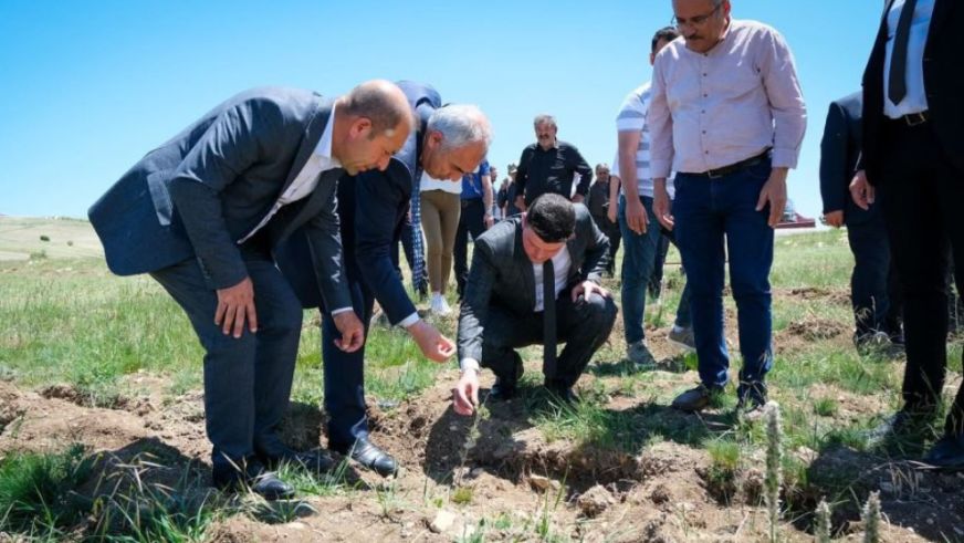 Az Su İçiyor, Çok İş Görüyor!.. Çalı Çırpı Değil, Tuz Çalısı!