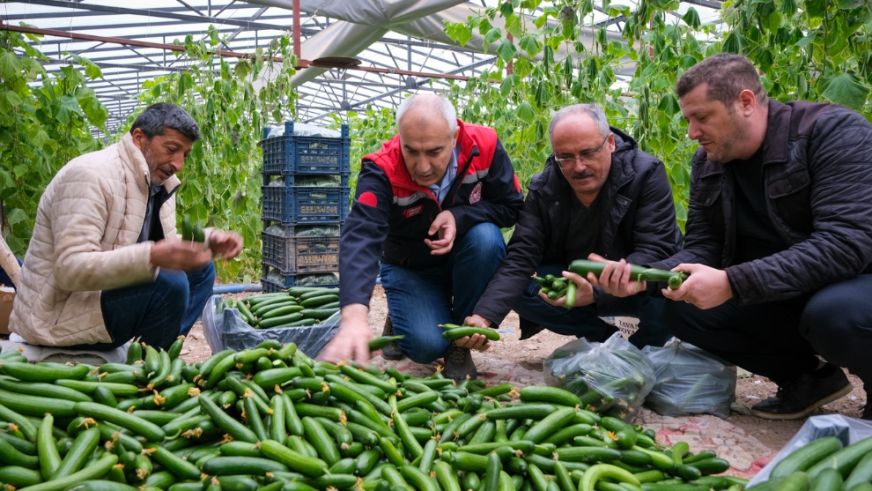 Malatya'da Tarım Ekibi Serada Üretimi Yerinde Gözlemledi