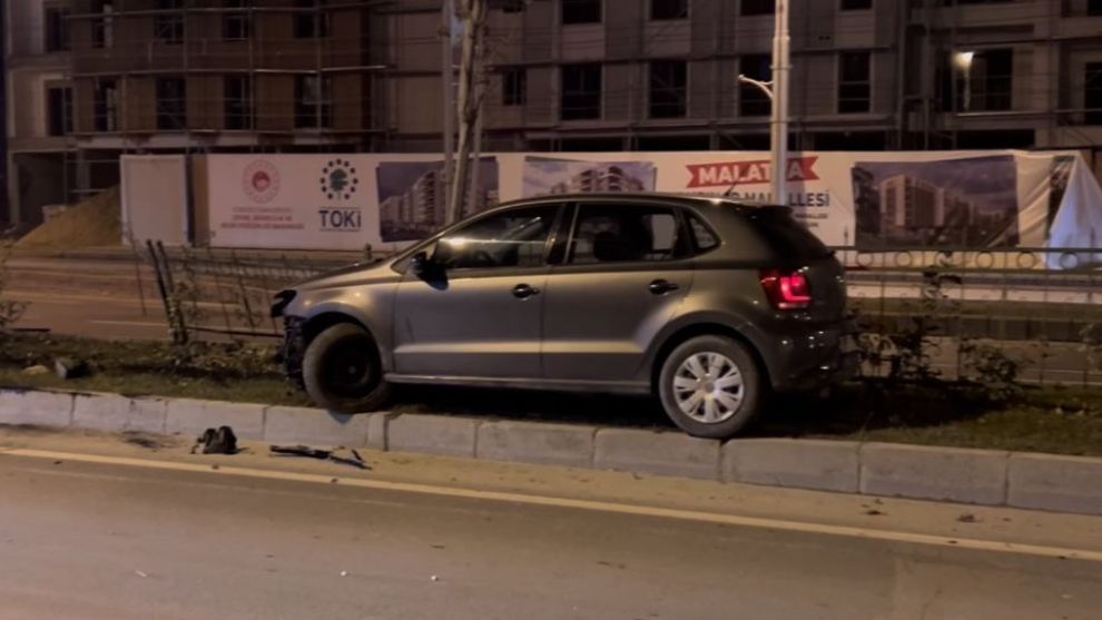 Köpek Yola Atladı, Otomobil Refüje Tırmandı!