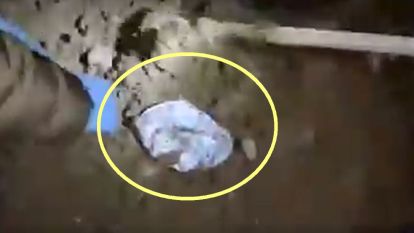 Define Değil Zehir Çıktı