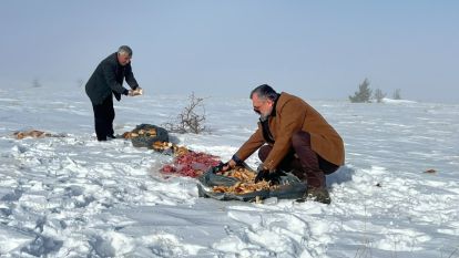  Doğadaki dostlara "Açık Büfe": İhsan Akın iş başında!