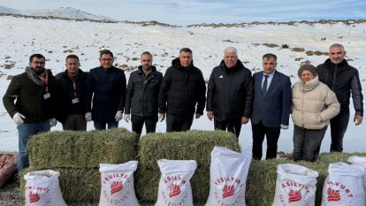 Kurtlar ve Kuşlar Bayram Etti: Belediye Porga'ya Sofrayı Kurdu!