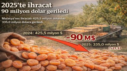 Malatya'nın 90 Milyon Doları Uçtu!..