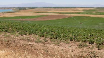 Vali ve Başkan Sözünde Durdu: Tarım Arazileri Kurtuldu