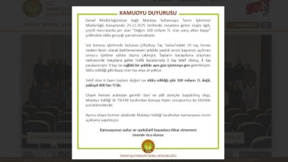 Atlar Kaçtı, Rakamlar Uçtu: Sultansuyunda İddia Balonu Söndü!