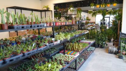 Battalgazi'de Yeşil Alan Yatırımları Sürüyor