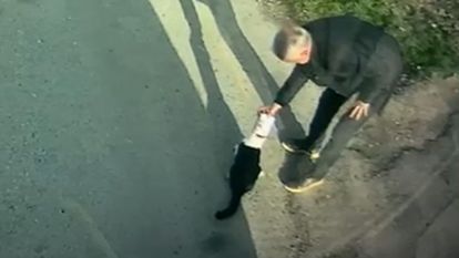 MOTAŞ Şoförü Can Dostunu Ölüme Terk Etmedi