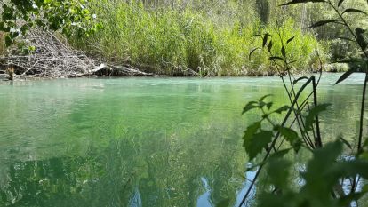 Tohma Çayı'nın Suyu Temiz Çıktı!..