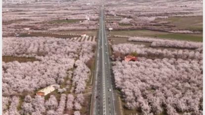 "Her bir çiçek, şehrimizin direncinin en güzel nişanesidir"