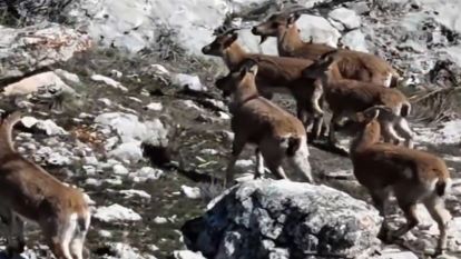 Malatya'da yaşam var