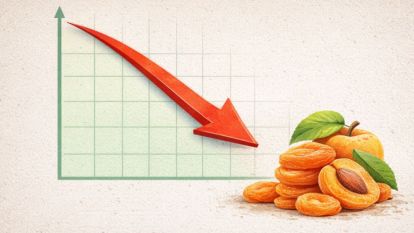 Malatya'nın Şubat Ayı İhracat Rakamları Açıklandı: Yıllık Düşüş Yüzde 15