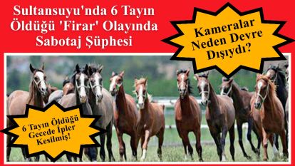 Sultansuyu'nda 6 Tayın Öldüğü 'Firar' Olayında Sabotaj Şüphesi: Kameralar Neden Devre Dışıydı?