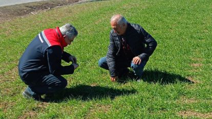 Yazıhan ve Arguvanda Tarım Personeli Neyi Tespit Etti?