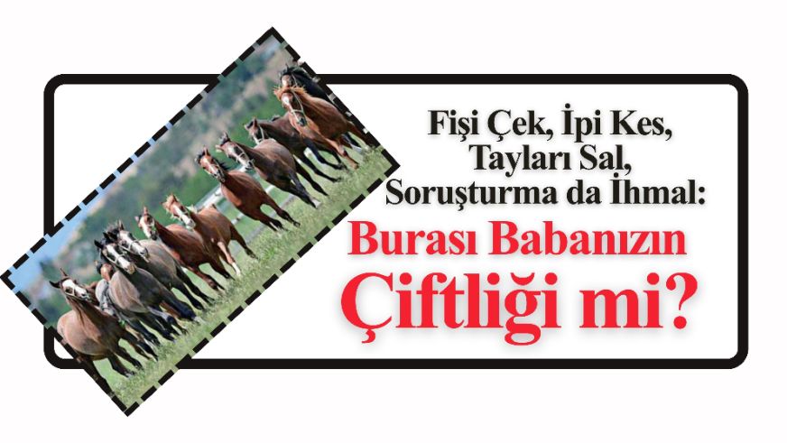Fişi Çek, İpi Kes, Tayları Sal, Soruşturma da İhmal: Burası Babanızın Çiftliği mi?