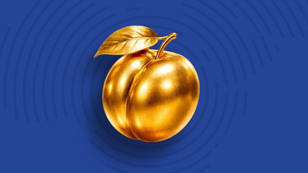 Malatya Kayısısı İçin Korkutan Rapor: "2035'te Küresel Gücümüzü Kaybedebiliriz"