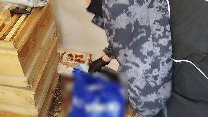 Arı Kovanında Uyuşturucu Sakladılar,  Sinek Gibi Yakalandılar: 11 Torbacı Deliğe Girdi!