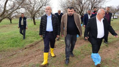 Başkan Er Çizmeleri Giydi, Hekimhan'da Kayısı Bahçelerini İnceledi