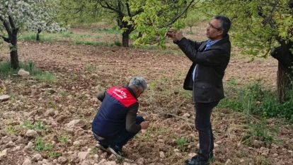 Malatya'da Dolu Hasarı İçin Tespit Başladı