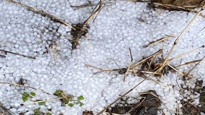 "Süreci Yakından Takip Ediyoruz"