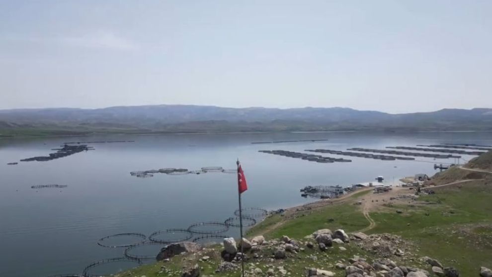 Alabalık üretimi Malatya'da gelişimini sürdürüyor