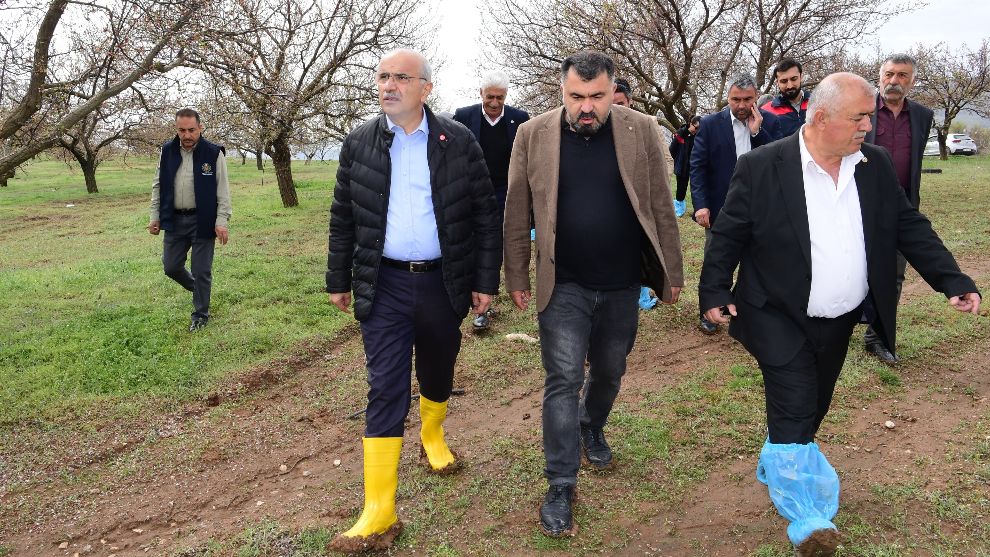 Başkan Er Çizmeleri Giydi, Hekimhan'da Kayısı Bahçelerini İnceledi