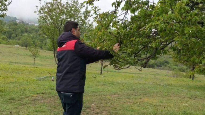 Malatya Valiliği Kayısıdaki Dolu Hasar Raporunu Açıkladı