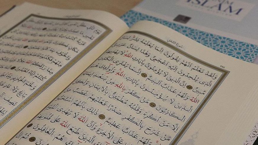 Malatyalı Öğrenci Ahsen Rana Doğan Bölge Birincisi Oldu