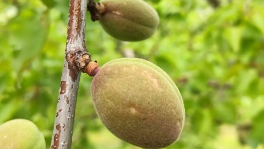 Vali Seddar Yavuz Dolu Yağışından Etkilenen Bölgeleri ve Mahalleleri Açıkladı