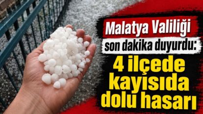 Malatya Valiliği son dakika duyurdu: 4 ilçede kayısıda dolu hasarı