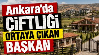 Ankara'da Çiftliği Ortaya Çıkan Başkan
