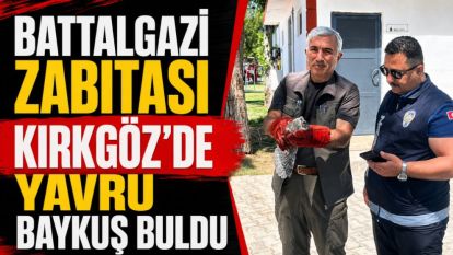 Battalgazi Zabıtası Kırkgöz'de Yavru Baykuş Buldu