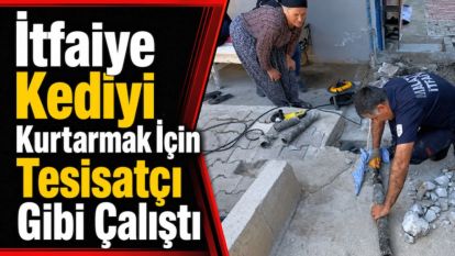 İtfaiye Kediyi Kurtarmak İçin Tesisatçı Gibi Çalıştı