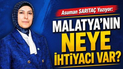 MALATYA'NIN NEYE İHTİYACI VAR?