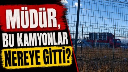 Müdür, Bu Kamyonlar Nereye Gitti?