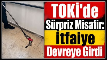 TOKİ'de Sürpriz Misafir: İtfaiye Devreye Girdi