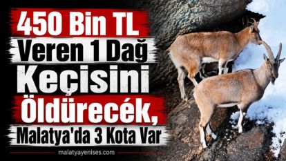 450 Bin TL Veren 1 Dağ Keçisini Öldürecek, Malatya'da 3 Kota Var