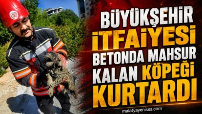 Büyükşehir İtfaiyesi Betonda Mahsur Kalan Köpeği Kurtardı