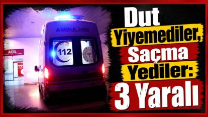 Dut Yiyemediler, Saçma Yediler: 3 Yaralı
