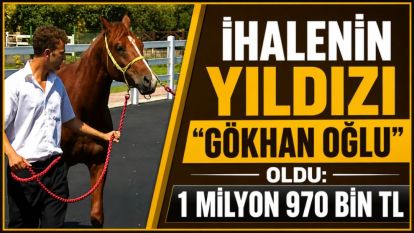 İhalenin Yıldızı “Gökhan Oğlu” Oldu: 1 Milyon 970 Bin TL 