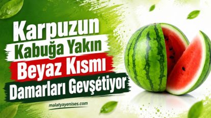 Karpuzun Kabuğa Yakın Beyaz Kısmı Damarları Gevşetiyor