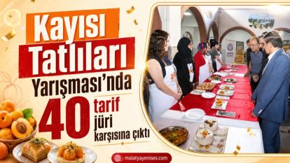 Kayısı Tatlıları Yarışması'nda 40 tarif jüri karşısına çıktı
