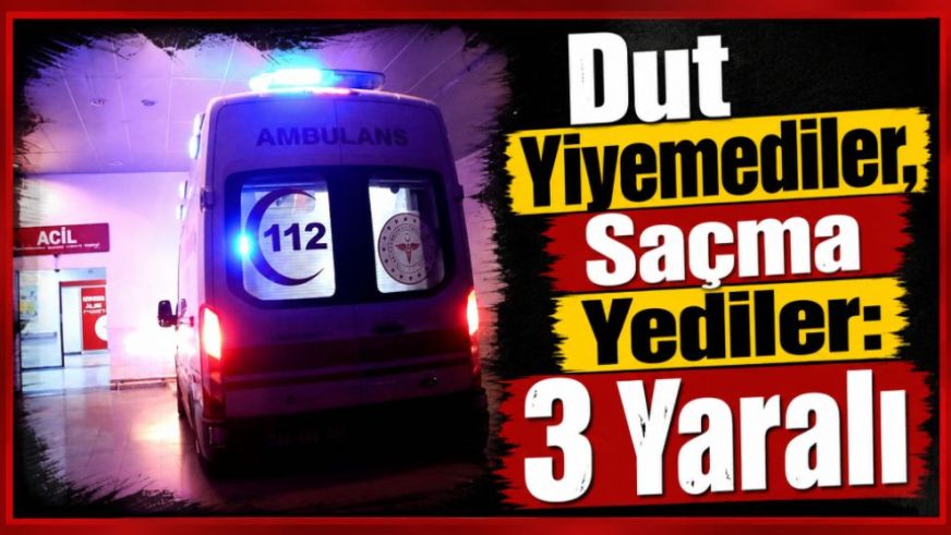 Dut Yiyemediler, Saçma Yediler: 3 Yaralı