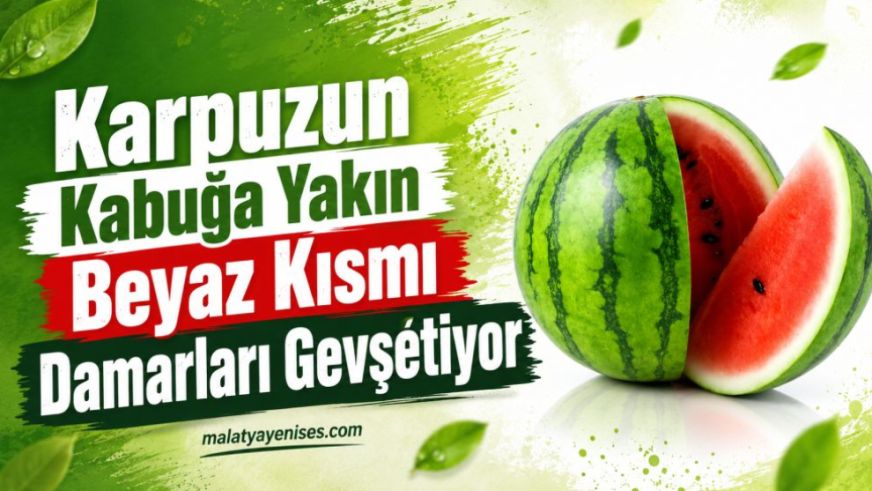 Karpuzun Kabuğa Yakın Beyaz Kısmı Damarları Gevşetiyor