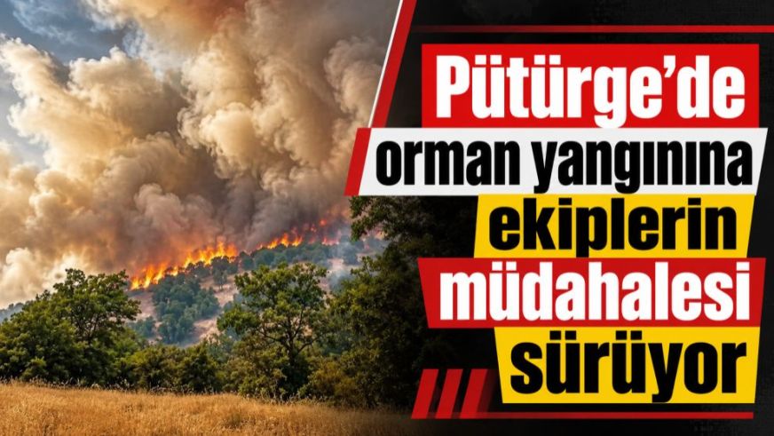 Pütürge'de orman yangınına ekiplerin müdahalesi sürüyor