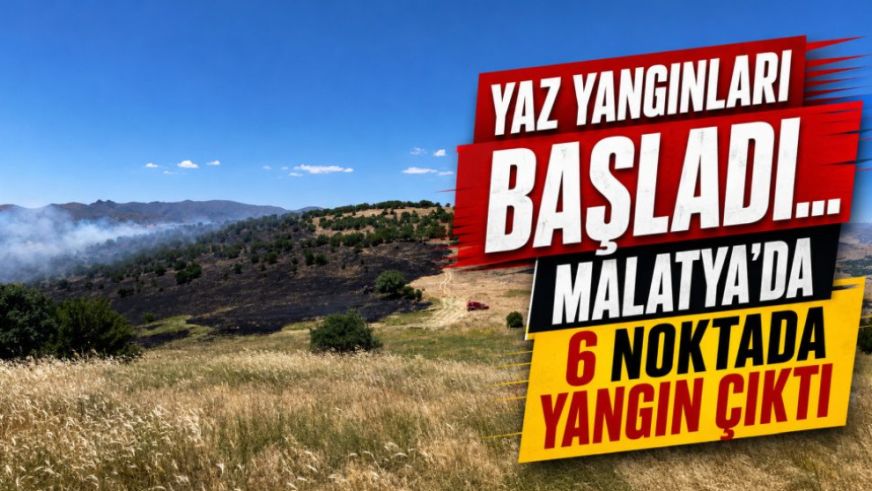Yaz Yangınları Başladı... Malatya'da 6 Noktada Yangın Çıktı