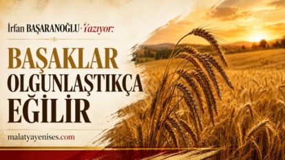 BAŞAKLAR OLGUNLAŞTIKÇA EĞİLİR