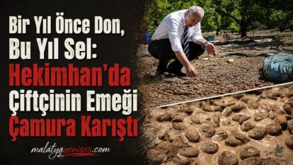 Bir Yıl Önce Don, Bu Yıl Sel: Hekimhan'da Çiftçinin Emeği Çamura Karıştı