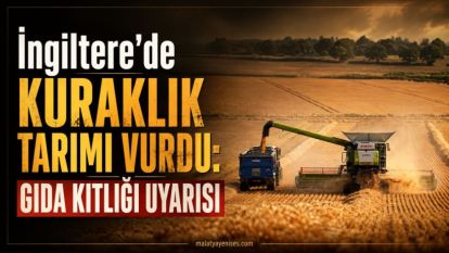 İngiltere'de Kuraklık Tarımı Vurdu: Gıda Kıtlığı Uyarısı